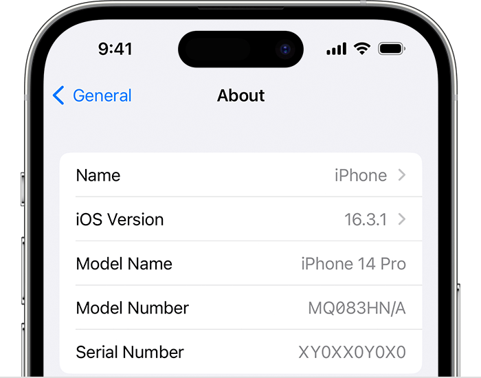 iPhone Settings > Check IMEI Number & Serial Number
